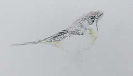 f:id:s_nissy:20190126215418j:plain f:id:s_nissy:20190126215418j:plain