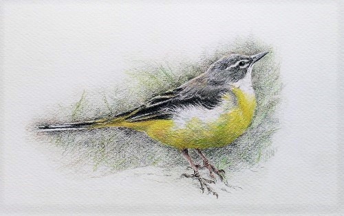 f:id:s_nissy:20190126220238j:plain f:id:s_nissy:20190126220238j:plain