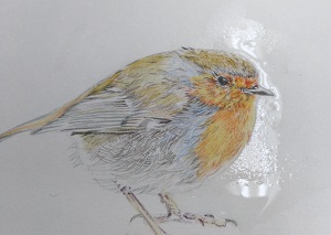 f:id:s_nissy:20190209191428j:plain f:id:s_nissy:20190209191428j:plain