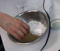 f:id:s_nissy:20190217152637j:plain f:id:s_nissy:20190217152637j:plain