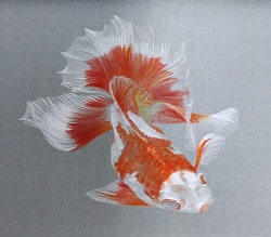 f:id:s_nissy:20190331174702j:plain