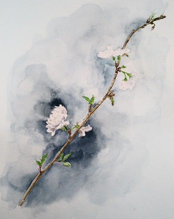 f:id:s_nissy:20190416184501j:plain f:id:s_nissy:20190416184501j:plain