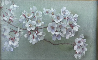 季節外れですが 絹本に描いた桜 お絵描きeveryday 季節外れですが 絹本に描いた桜 お絵描きeveryday
