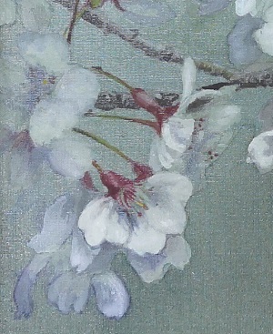 季節外れですが、絹本に描いた桜 - お絵描きeveryday