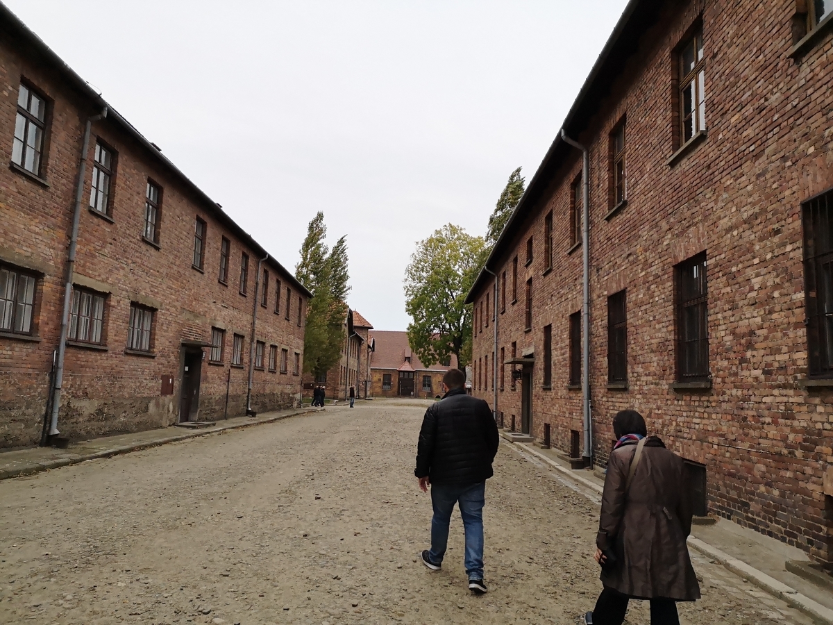 f:id:s_nissy:20191010060335j:plain