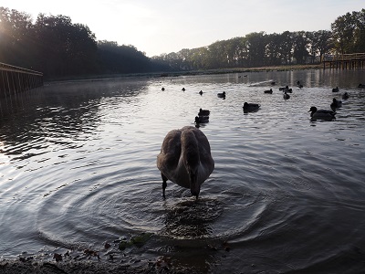 f:id:s_nissy:20191027181537j:plain f:id:s_nissy:20191027181537j:plain