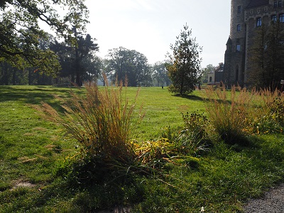 f:id:s_nissy:20191027182040j:plain f:id:s_nissy:20191027182040j:plain