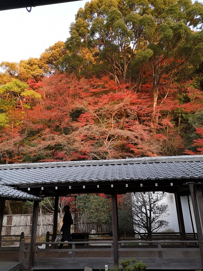 f:id:s_nissy:20191202230921j:plain f:id:s_nissy:20191202230921j:plain