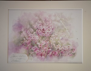 透明水彩画『桜並木』 桜並木の堤防と小川 (透明水彩風景画) Row of cherry trees