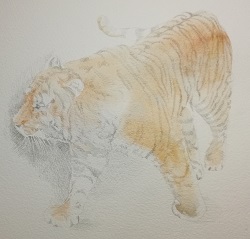 f:id:s_nissy:20211225210203j:plain