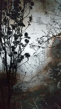 f:id:s_nissy:20220123221227j:plain