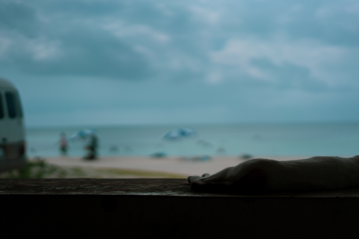 f:id:s_s_satoc:20190826223344j:plain f:id:s_s_satoc:20190826223344j:plain
