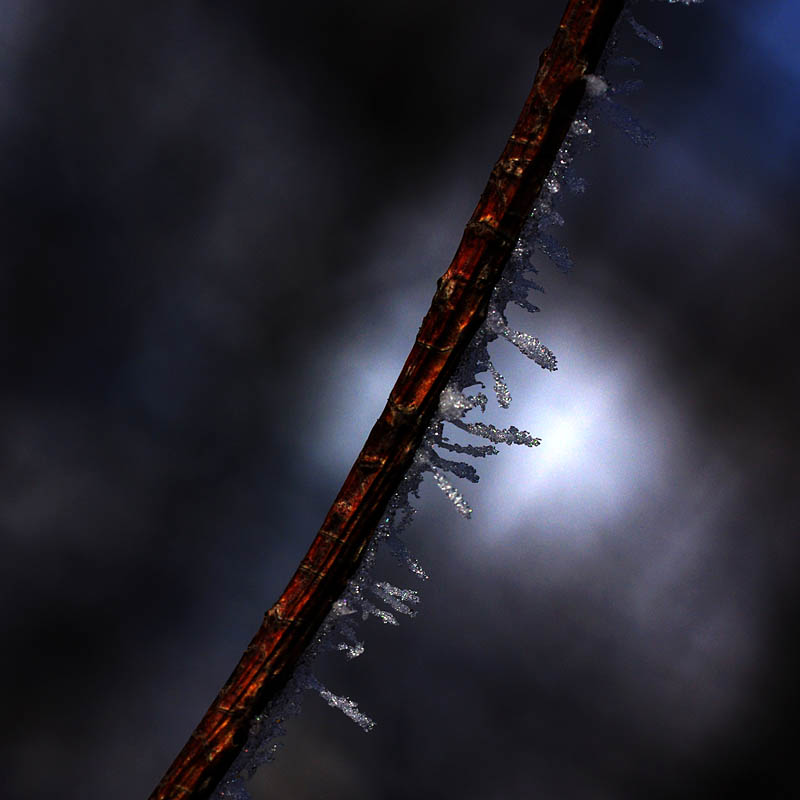 f:id:s_sawada:20070201115837j:image:w600