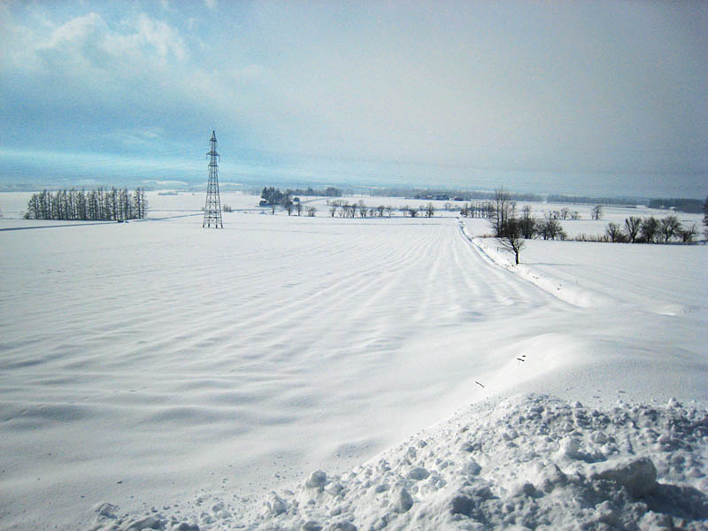 f:id:s_sawada:20070201125916j:image:w600