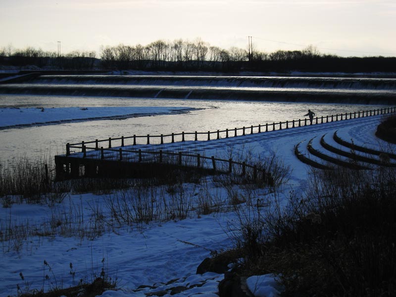 f:id:s_sawada:20070203144336j:image:w600