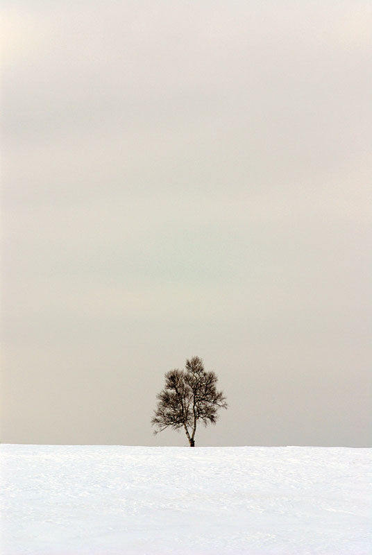 f:id:s_sawada:20070210145851j:image:h600