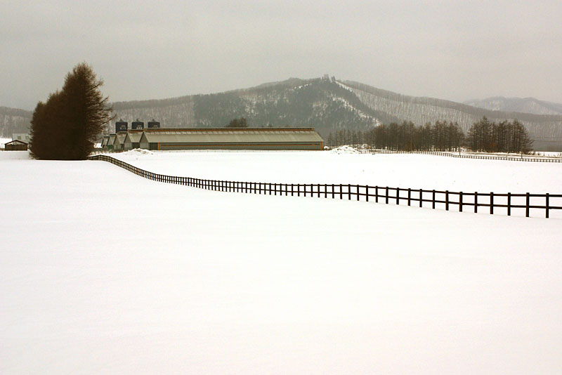 f:id:s_sawada:20070210153337j:image:w600
