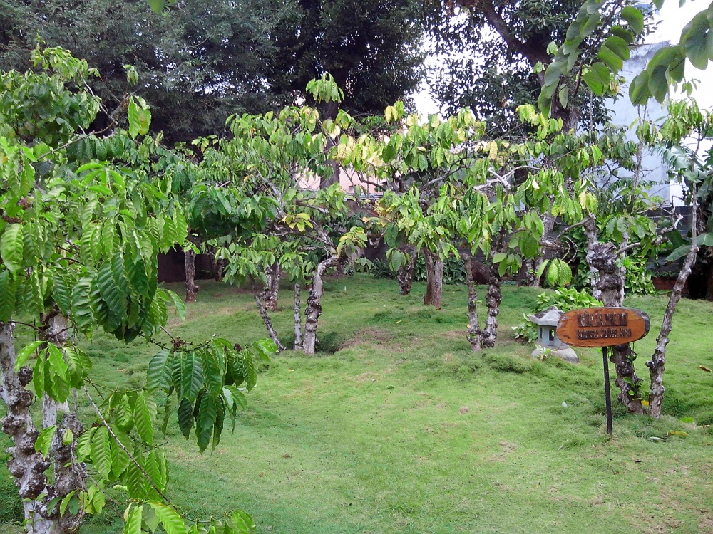 f:id:s_sion_s:20200623085917j:plain f:id:s_sion_s:20200623085917j:plain
