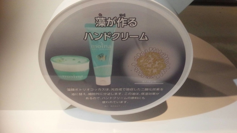 イメージ 4