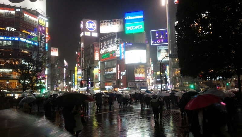 イメージ 13