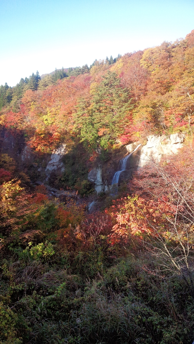 f:id:s_sora_315:20200424183456j:plain