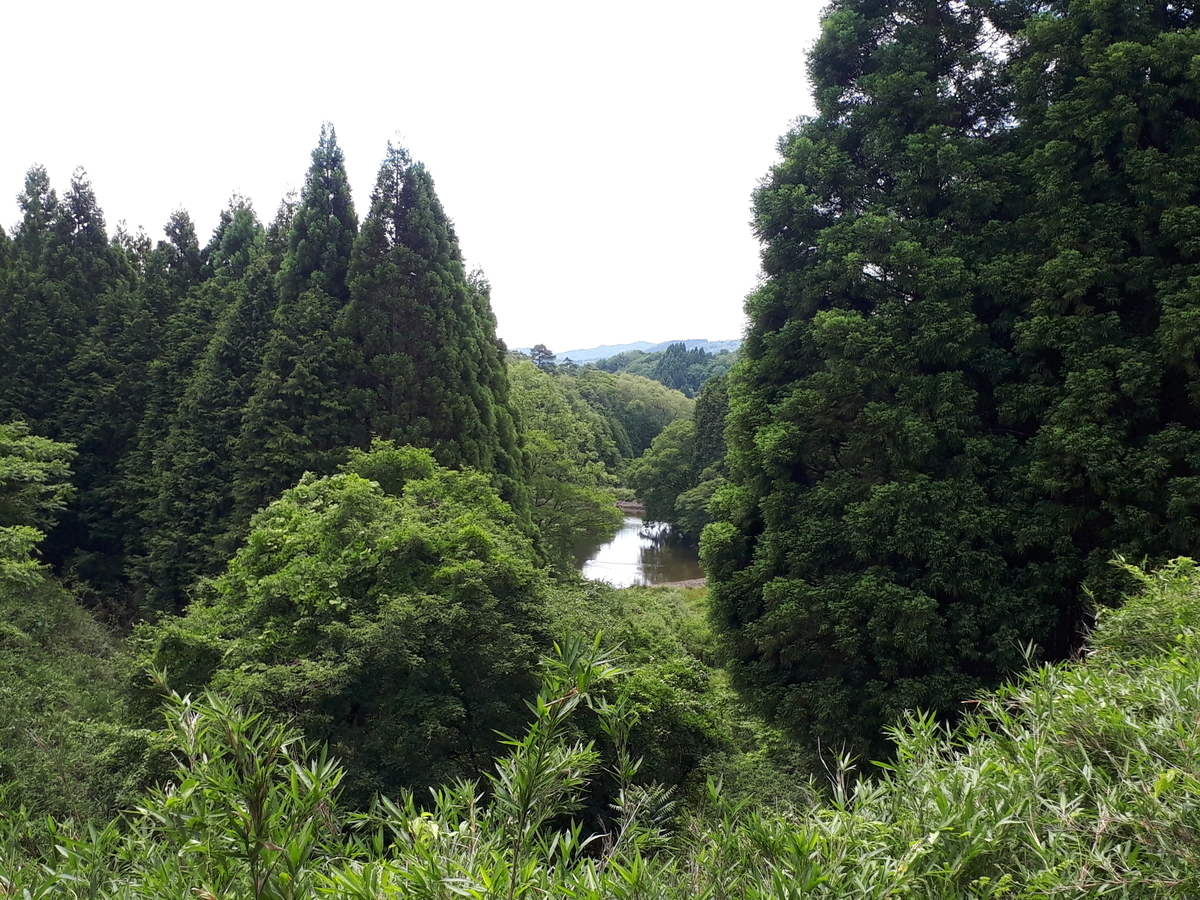 f:id:s_suetch:20190611234726j:plain