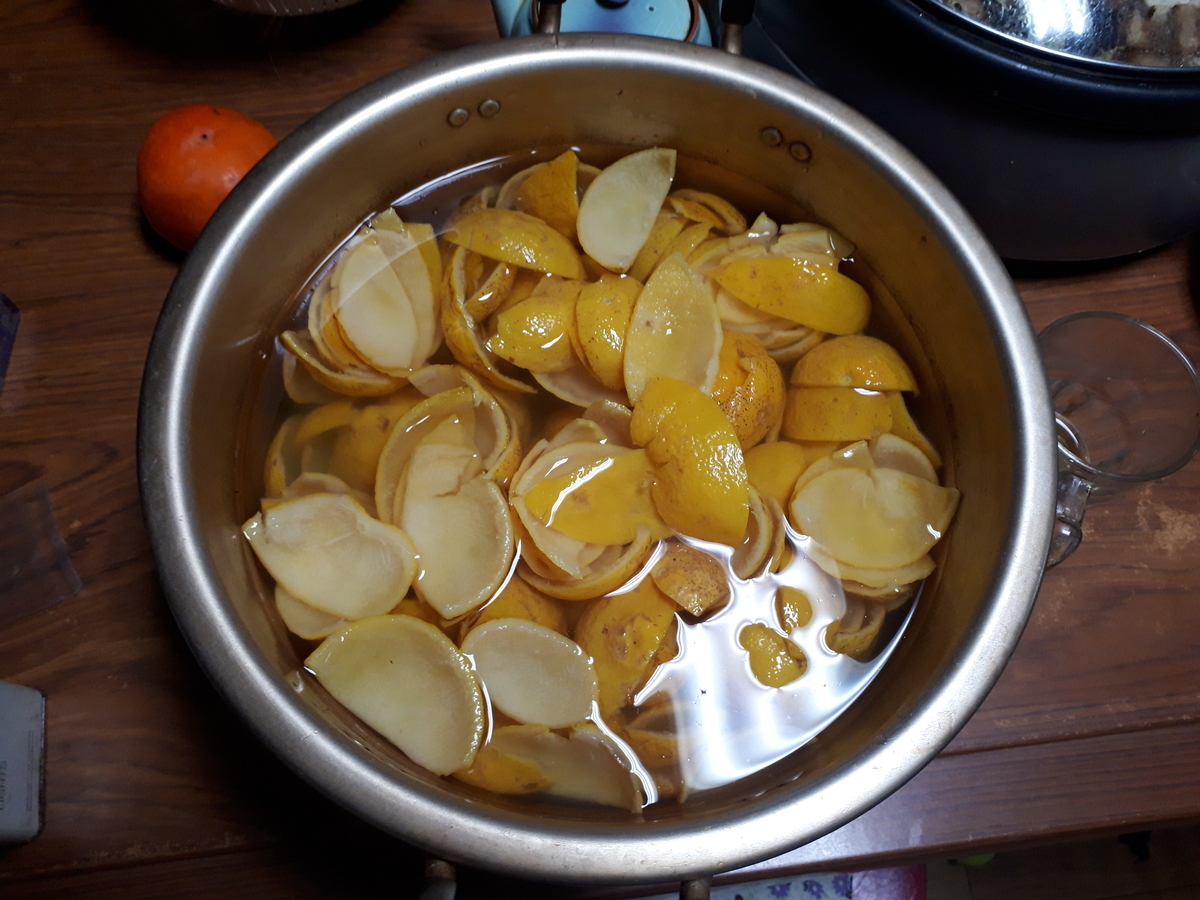 f:id:s_suetch:20191123132201j:plain f:id:s_suetch:20191123132201j:plain