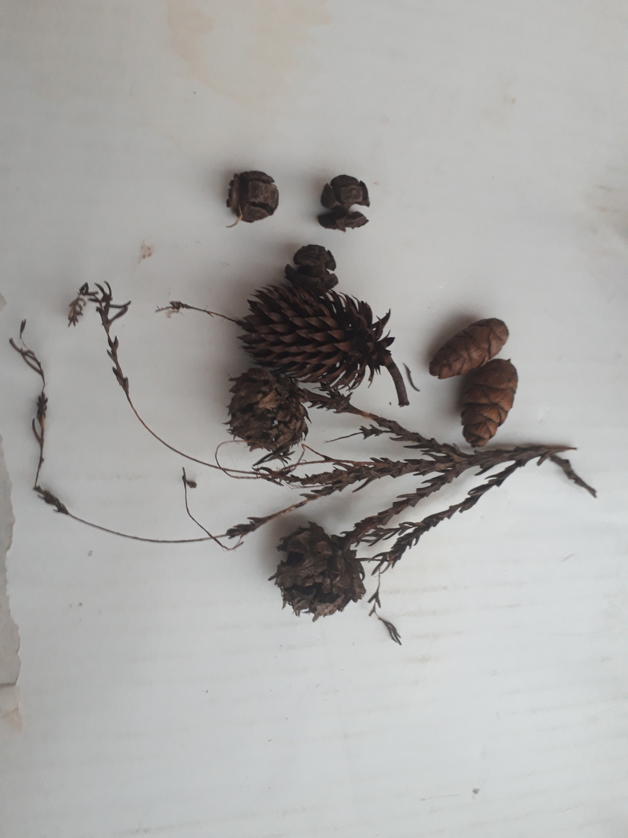 f:id:s_suetch:20191123140941j:plain f:id:s_suetch:20191123140941j:plain