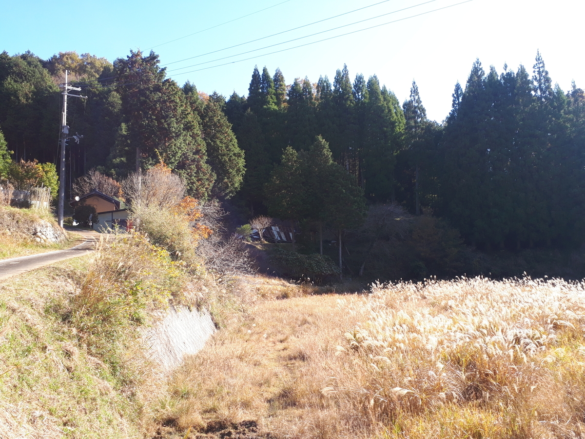 f:id:s_suetch:20191123141349j:plain f:id:s_suetch:20191123141349j:plain