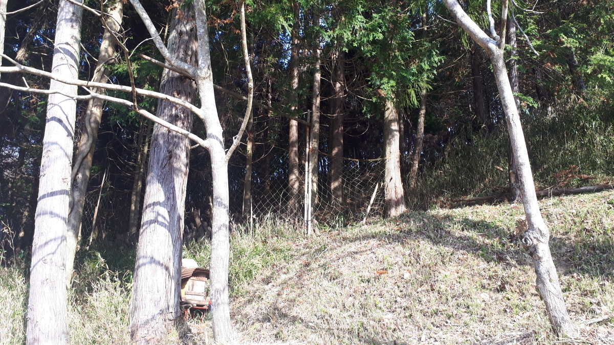 f:id:s_suetch:20201213231132j:plain