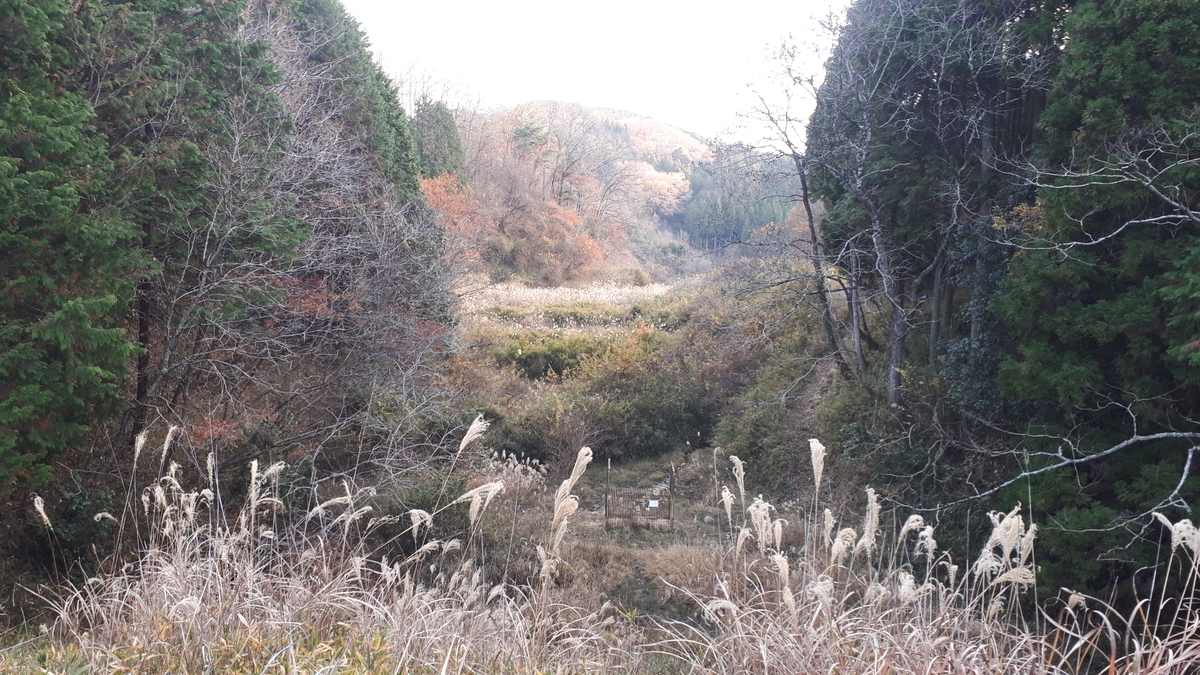 f:id:s_suetch:20201213233546j:plain