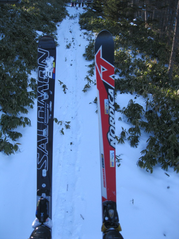 SALOMON 小さから 191センチ r27