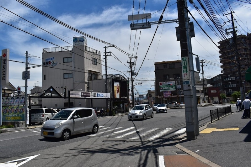 f:id:s_tenpa:20200618204929j:plain