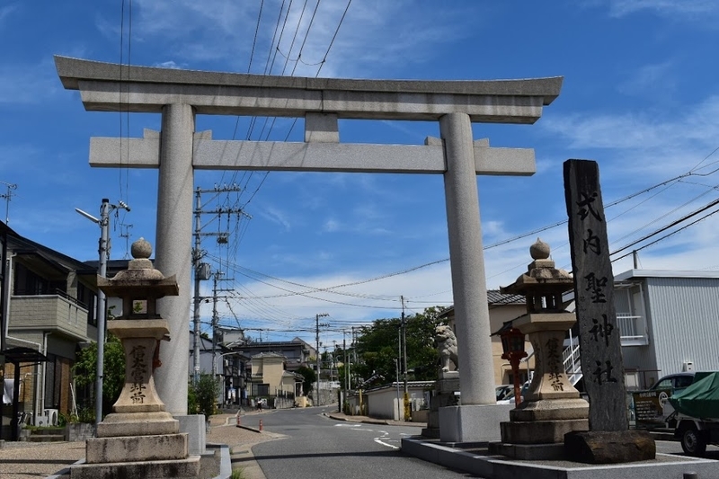 f:id:s_tenpa:20200618204945j:plain