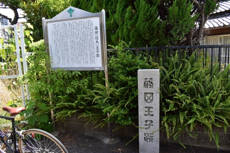 f:id:s_tenpa:20200618204954j:plain