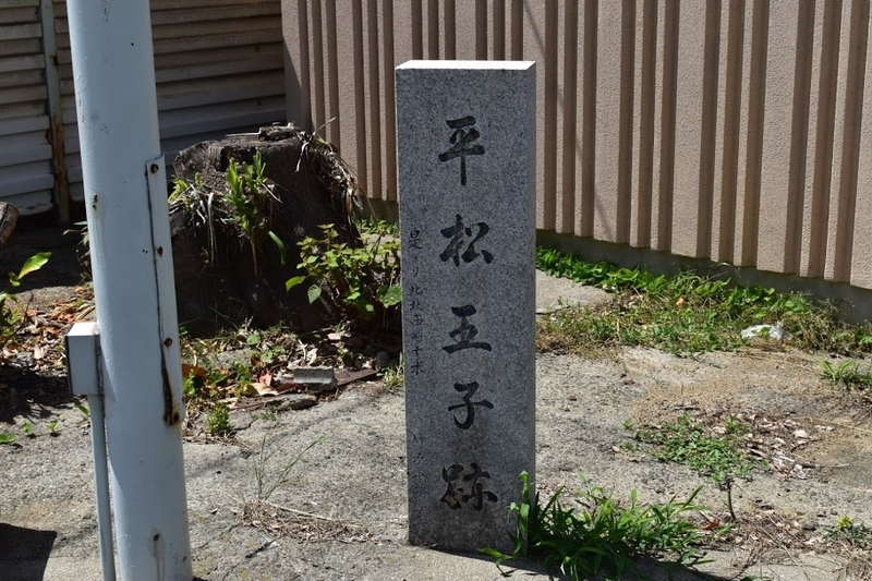 f:id:s_tenpa:20200618205007j:plain