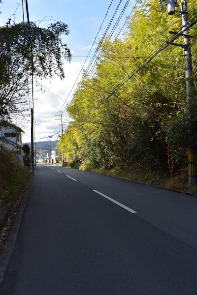 f:id:s_tenpa:20210107164046j:plain