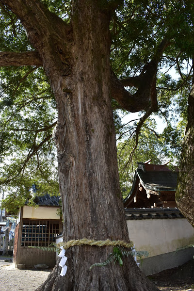 f:id:s_tenpa:20210107164114j:plain