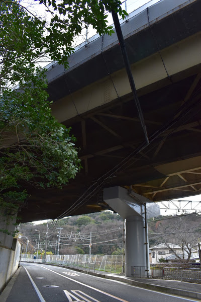 f:id:s_tenpa:20210107210500j:plain