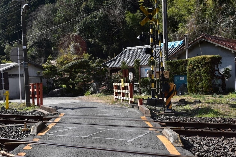 f:id:s_tenpa:20210107234600j:plain