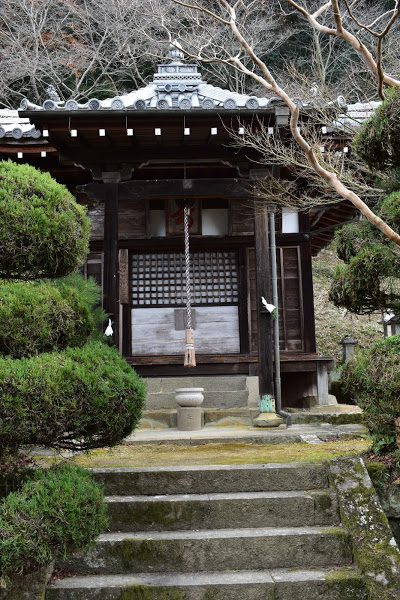 f:id:s_tenpa:20210107234656j:plain