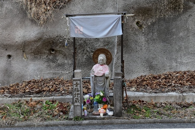 f:id:s_tenpa:20210108001705j:plain