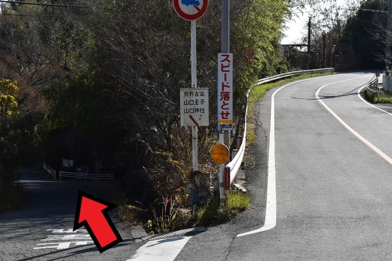 f:id:s_tenpa:20210108002509j:plain