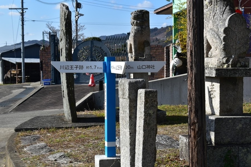 f:id:s_tenpa:20210108003249j:plain