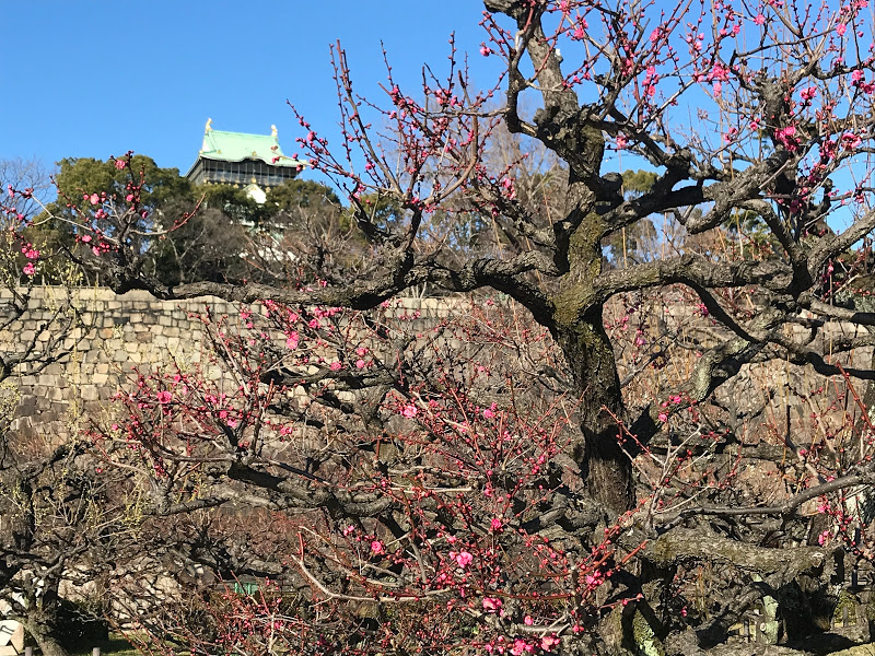 f:id:s_tenpa:20210201232036j:plain