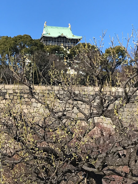 f:id:s_tenpa:20210201232041j:plain