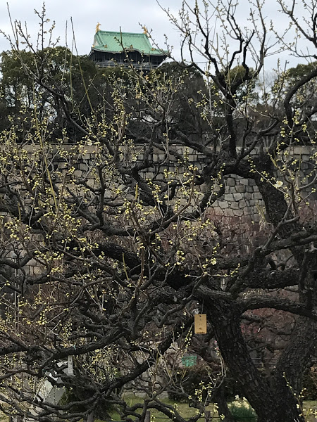 f:id:s_tenpa:20210201232046j:plain