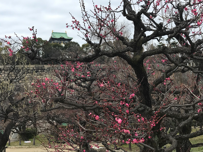 f:id:s_tenpa:20210201232053j:plain