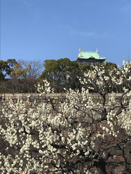 f:id:s_tenpa:20210213231913j:plain