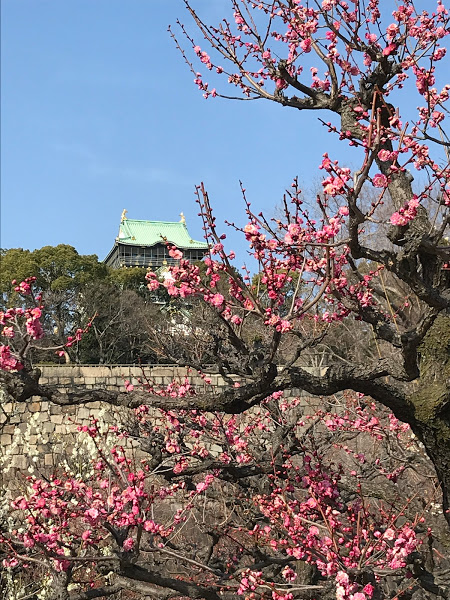 f:id:s_tenpa:20210213231919j:plain